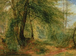 The Woodland Mirror, 1800-tallet av Richard Redgrave